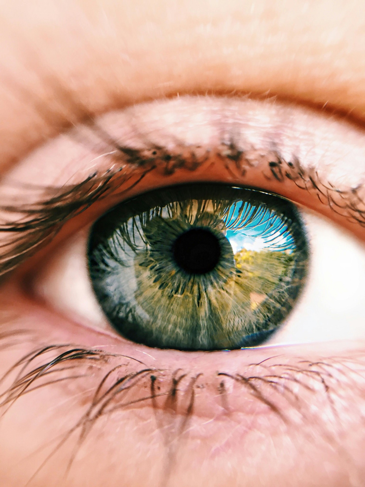 Curiosidades sobre el funcionamiento del ojo humano